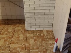 Berceni, Emil Racovita